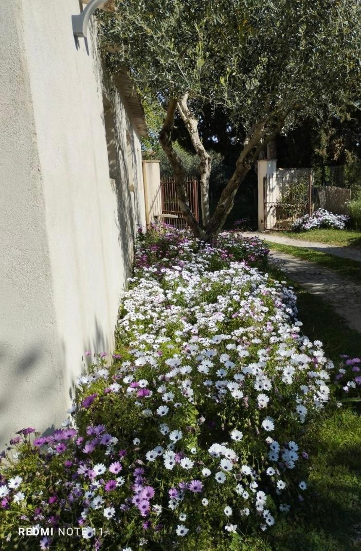 Maison De Campagne En Provence Barbentane المظهر الخارجي الصورة